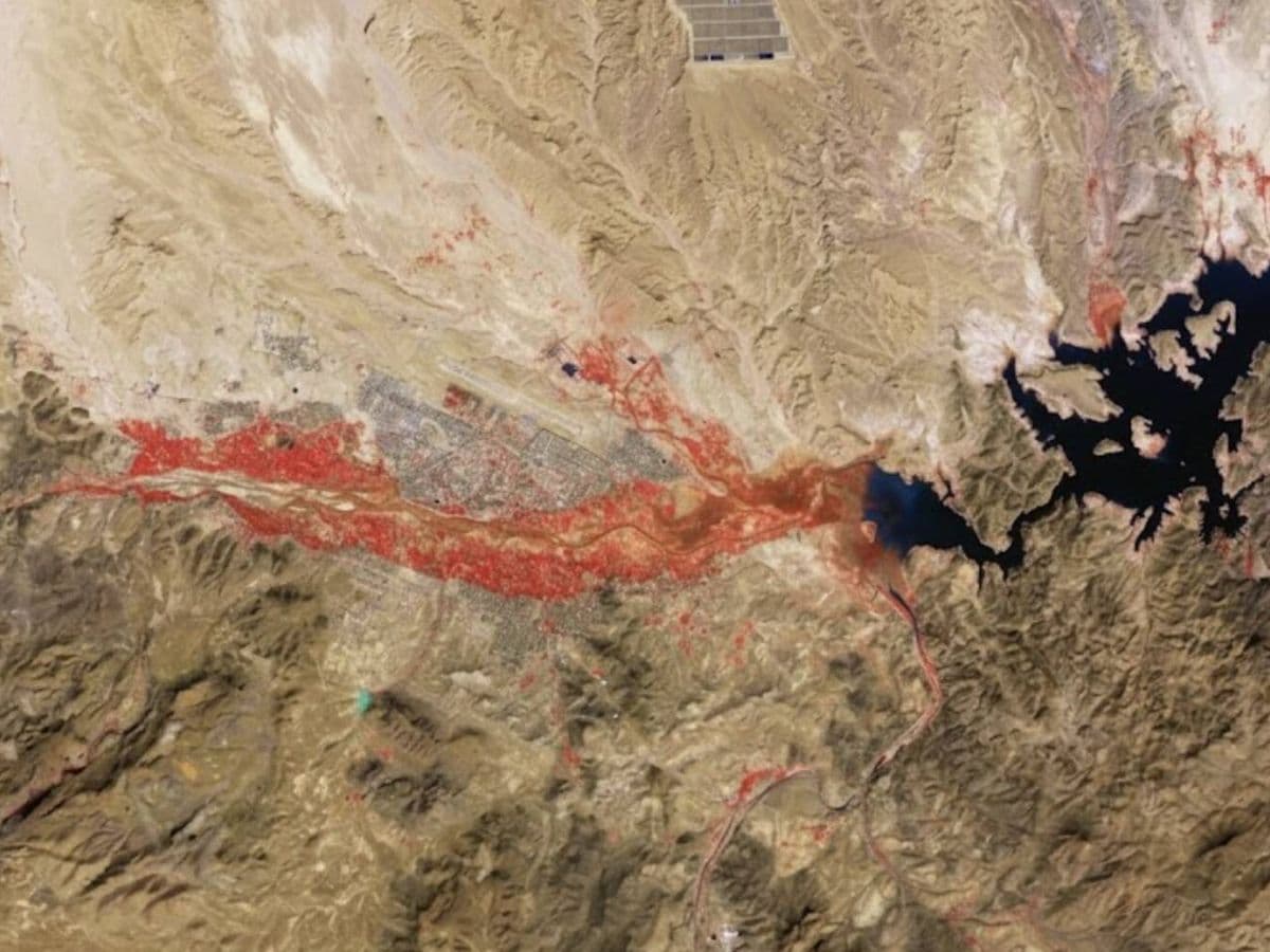 European Satellites Capture Red-Colored Patch Near Ouarzazate Reflecting Increased Vegetation Activity